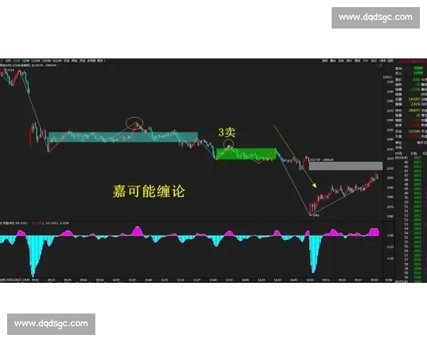 武术vs现代格斗体系对比解析传统与实战价值新视角发展趋势思考